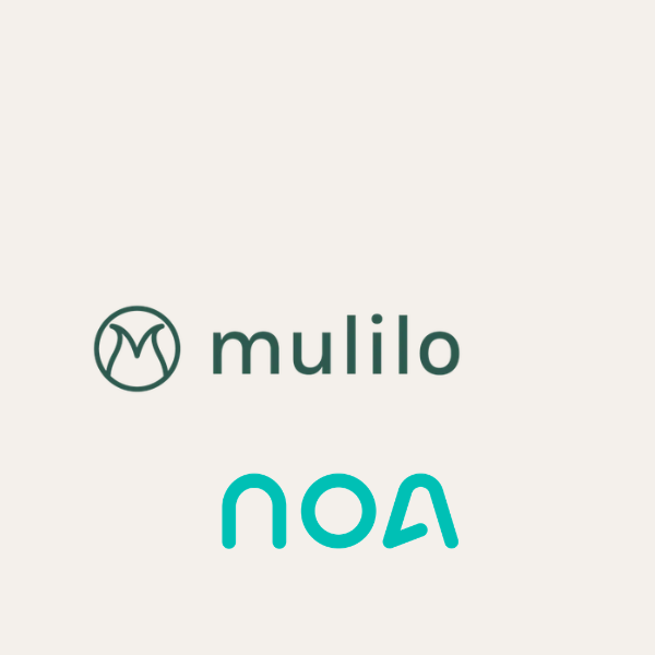 Financial close: Mulilo Beaufort West